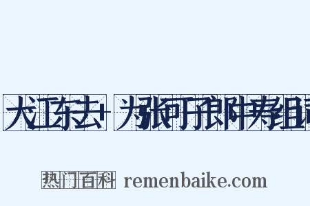 大江东去+为张可子郎中寿组词是什么意思的图片